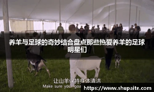 养羊与足球的奇妙结合盘点那些热爱养羊的足球明星们